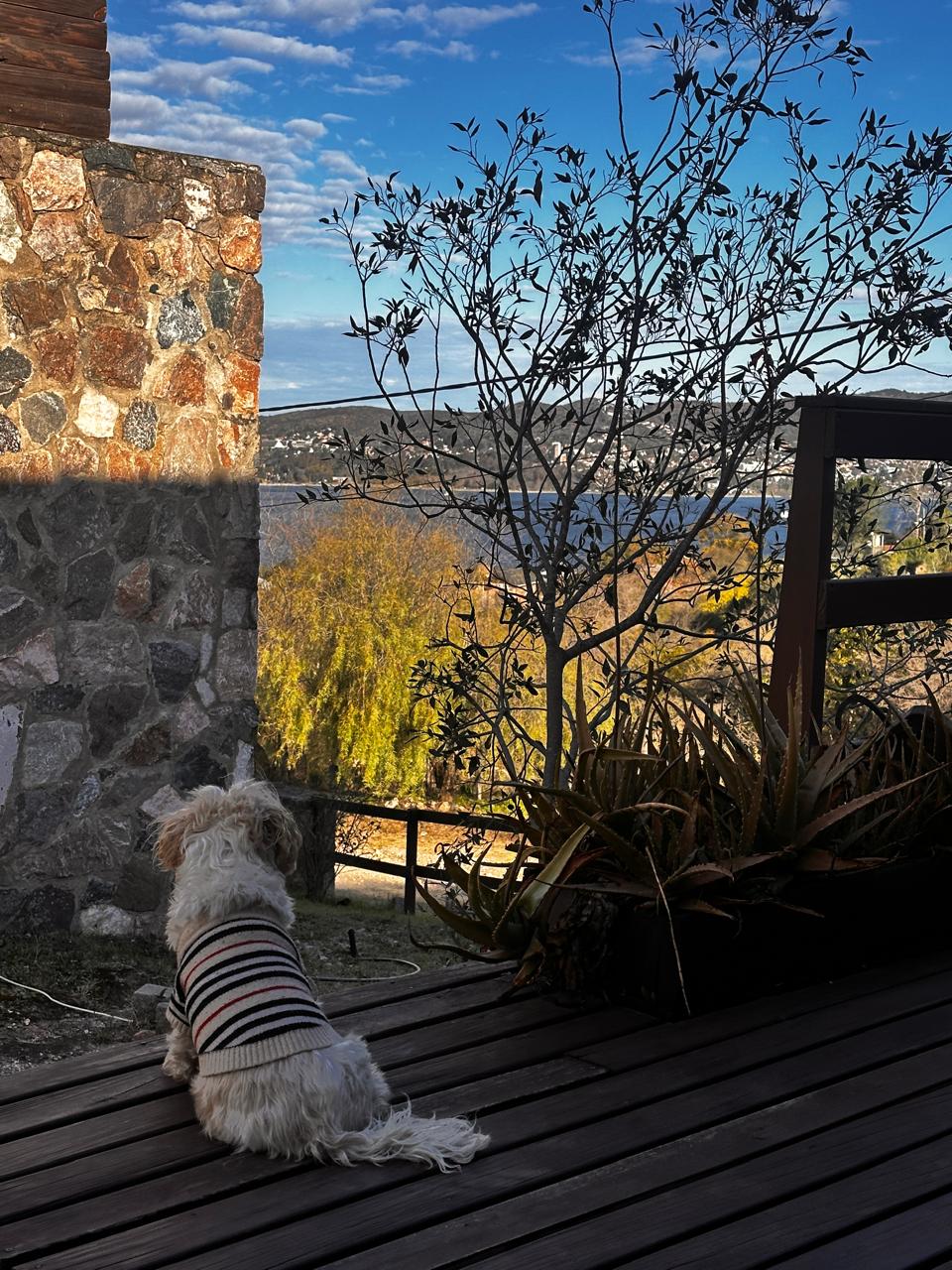 Pet Friendly Córdoba